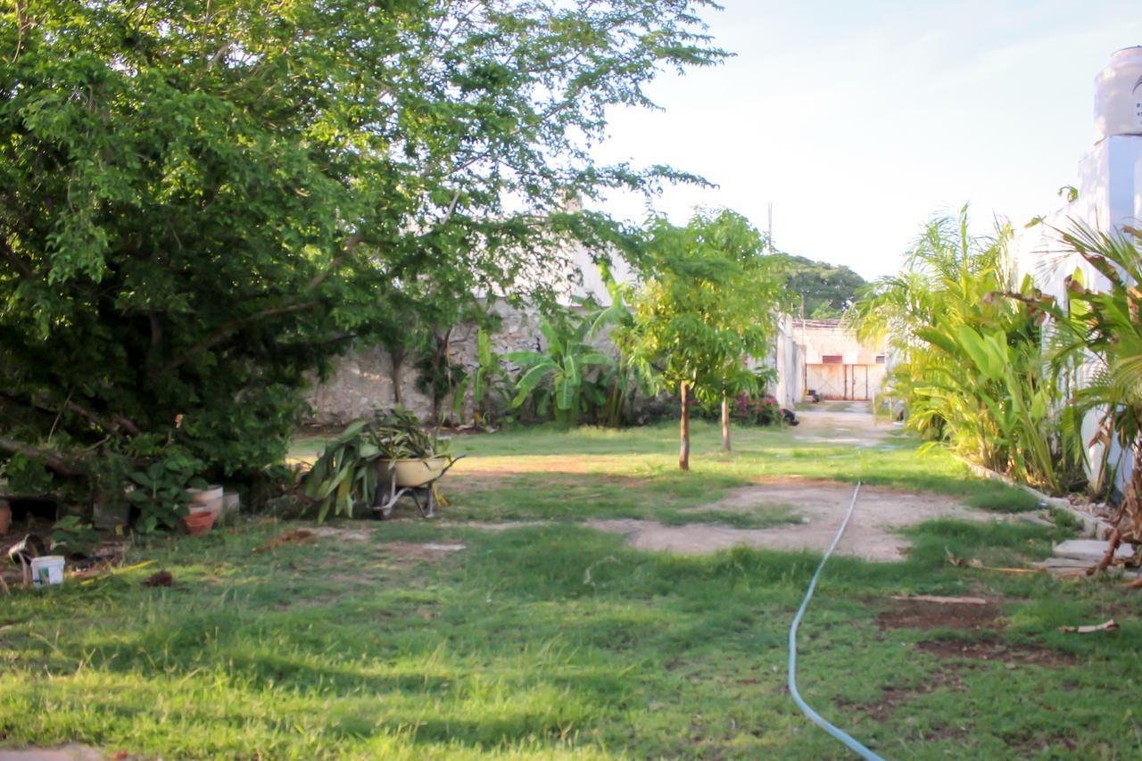 Hostal La Ermita Mérida Dış mekan fotoğraf